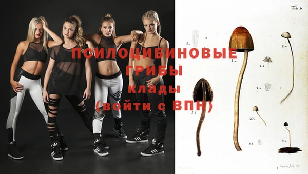 apvp Алзамай