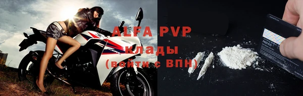 apvp Алзамай