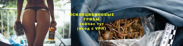 метадон Лагань