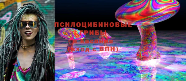 apvp Алзамай